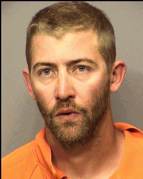 Brian Michael Williams